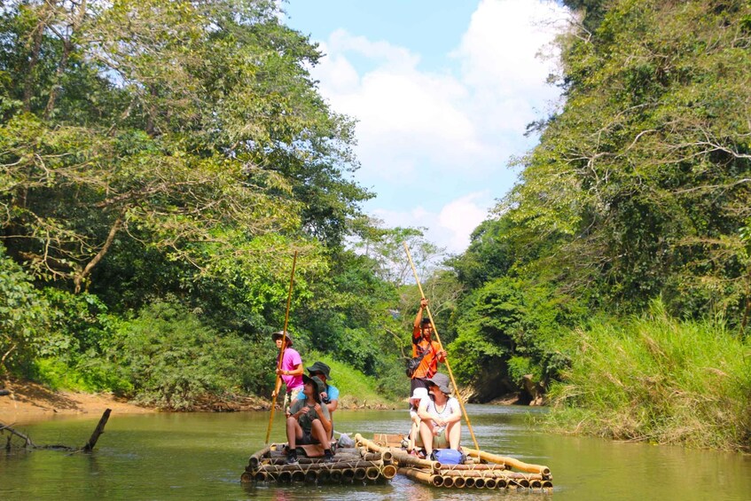 Picture 4 for Activity Khao Lak: Khao Sok Bamboo Rafting and Elephant Bathing Trip