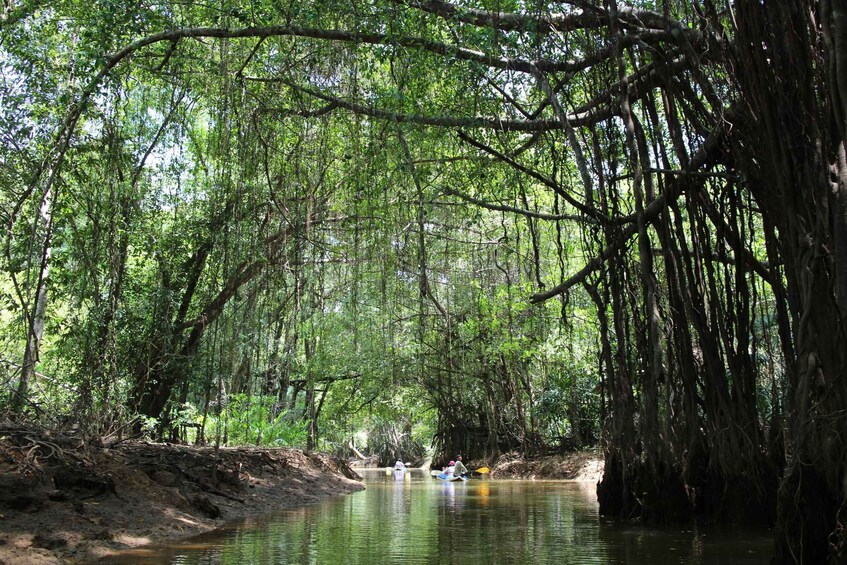 Picture 2 for Activity Khao Lak: Sri Phang Nga Canoe and Tam Nang Waterfall Tour