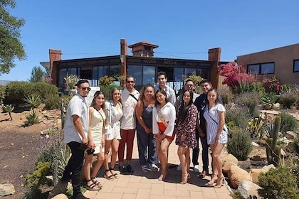 Shared Guadalupe Wine Valley Tour