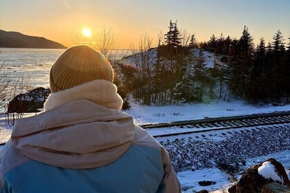 終極安克雷奇冬季野生動物和日落之旅