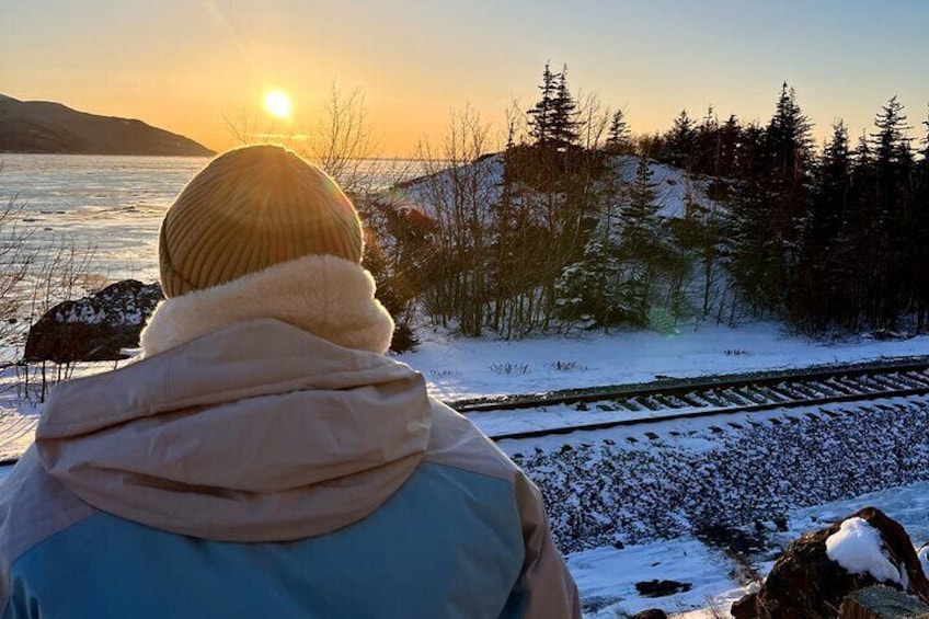 Ultimate Anchorage Winter Wildlife & Sunset Tour