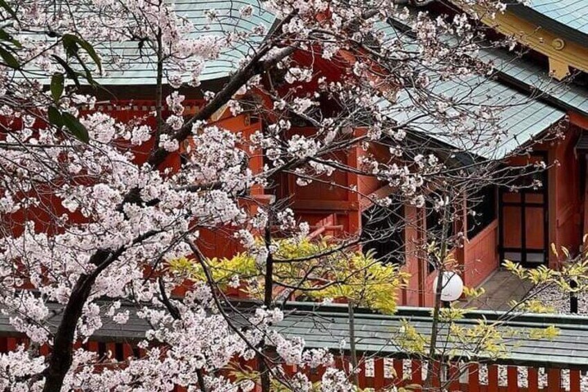 Hiroshima Morning Hike Tour & Open-air Tea Ceremony