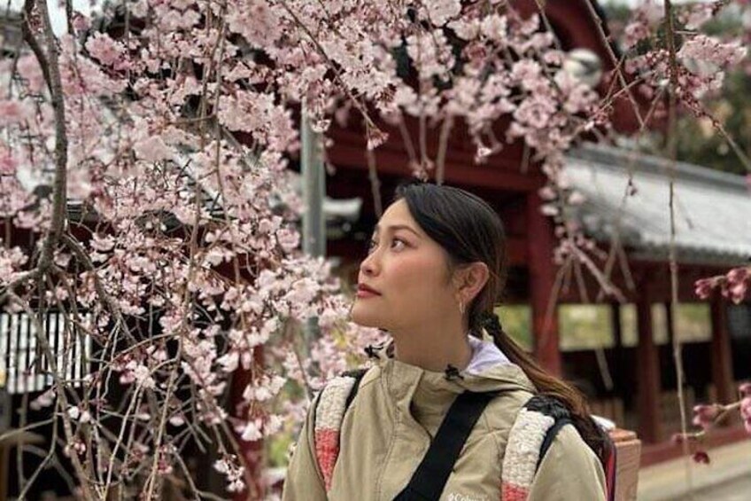Hiroshima Morning Hike Tour & Open-air Tea Ceremony