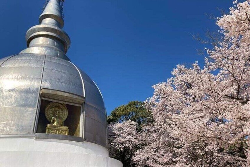 Hiroshima Morning Hike Tour & Open-air Tea Ceremony