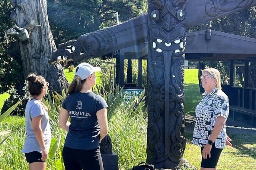 Visit a marae with your guide from Terra & Tide