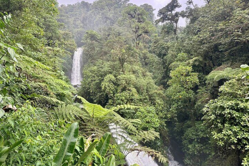 Full Day Poas Volcano, Waterfall Gardens and Coffee Tour