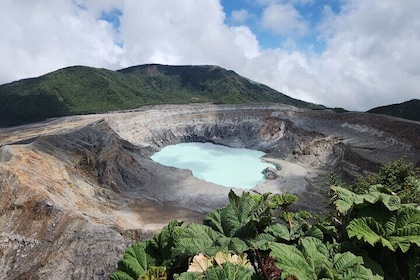 Experiencia de día completo en el volcán Poás, los jardines de la cascada d...