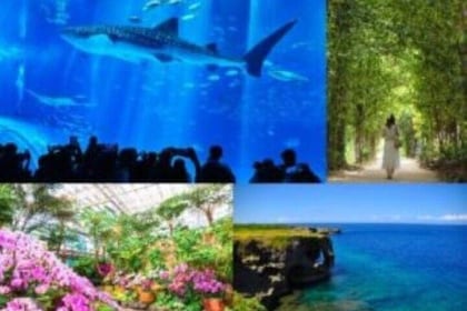 Okinawa Hip-hop Bus B - 2 Course Tour (Okinawa Churaumi Aquarium)