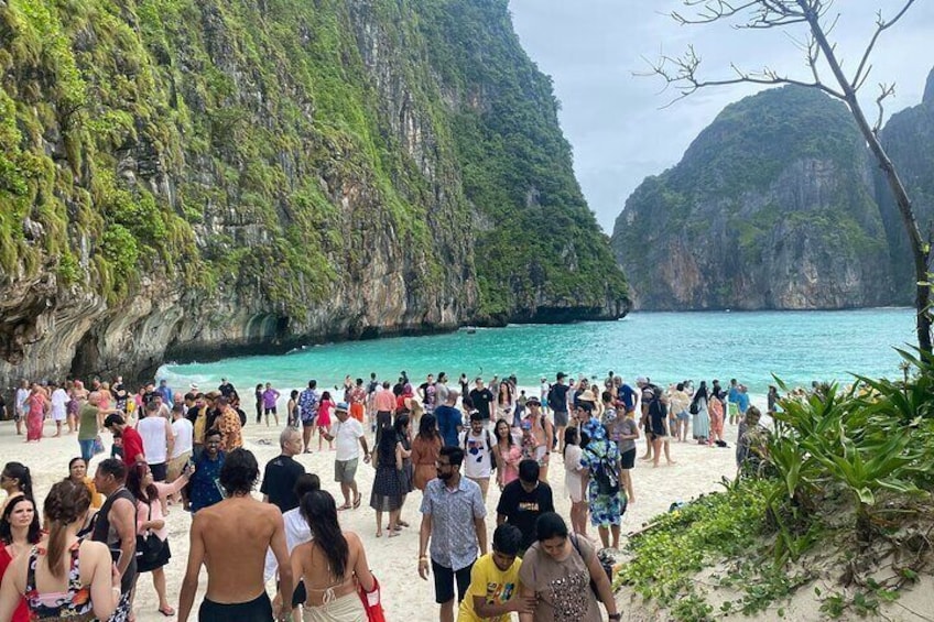 Phi Phi Islands, Maya Bay and Khai Island By Speedboat w/Lunch