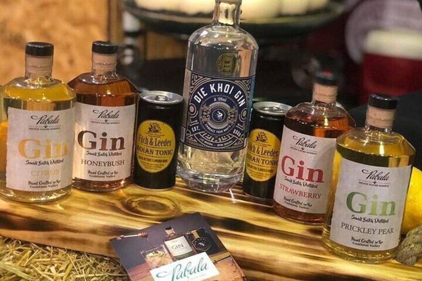 1-Hour Craft Gin Vodka and Spiced Rum Tasting