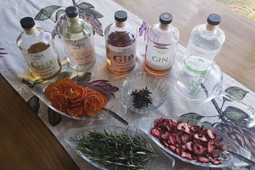 1-Hour Craft Gin Vodka and Spiced Rum Tasting