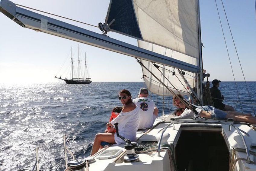 Half day sailing trips