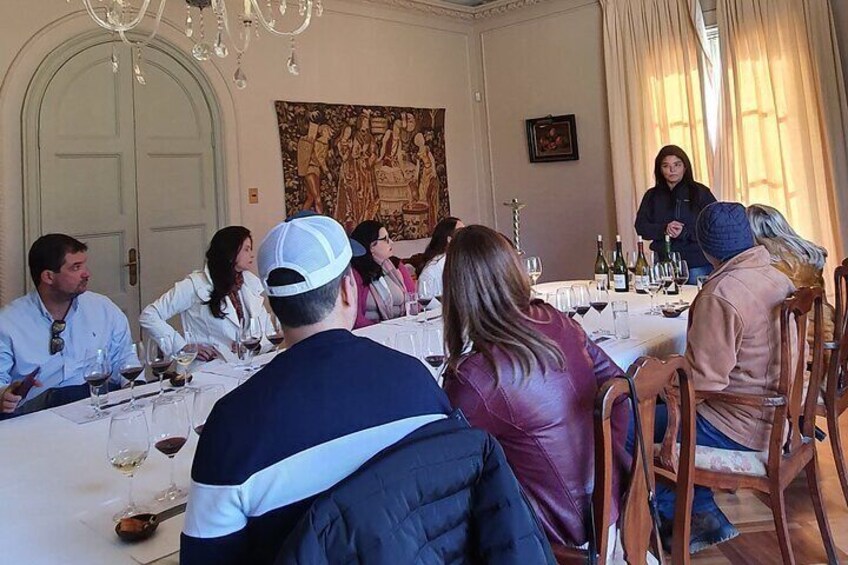 Private Full Day Tour of Viñas Tarapacá and Santa Ema Isla de Maipo