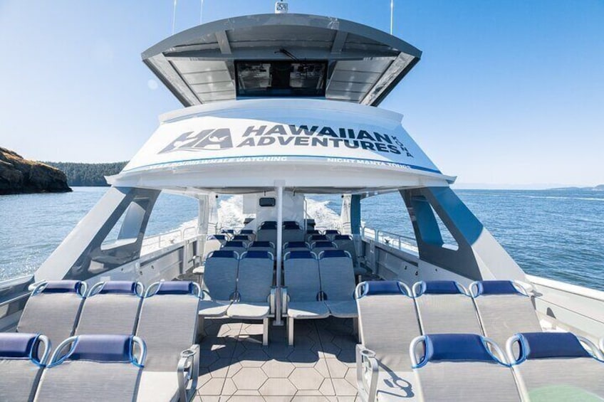 Guaranteed Dolphin and Whale Watch Tour in Kona