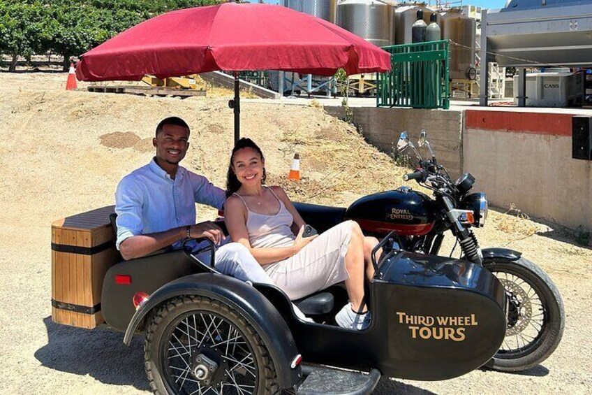 Scenic Sidecar Vineyard Tour Paso Robles