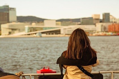 Giro turistico dell'Oslofjord