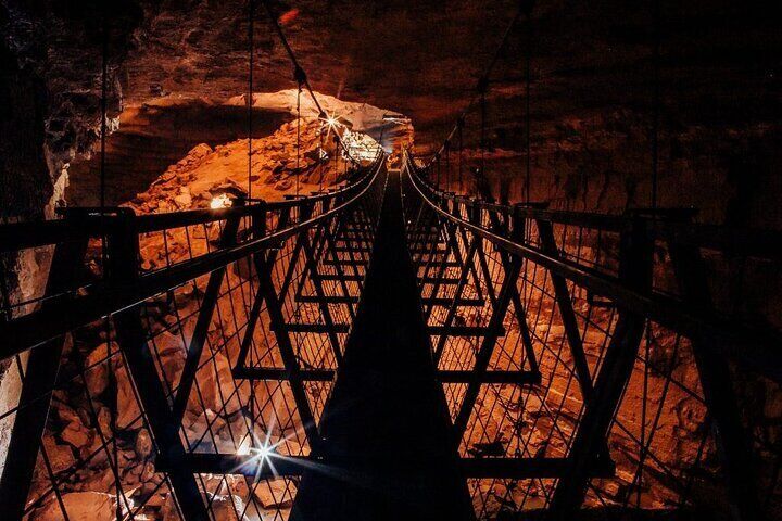 Nashville to Kentucky Caves & Kangaroos: A Day of Enchantment