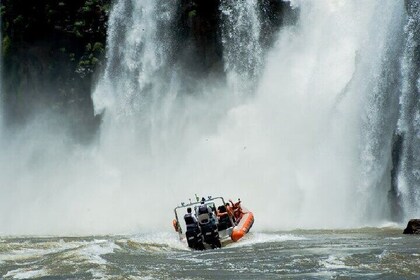 Iguassu Falls on the Brazilian Side: Macuco Safari, Helicopter Flight, Bird...