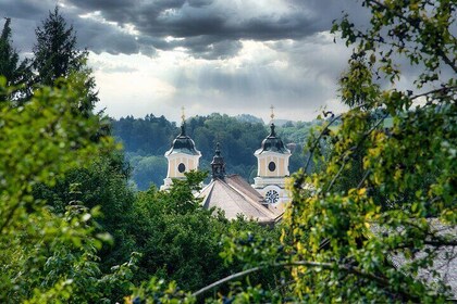 Private Tour to Salzburg for River cruise passengers - Passau or Linz