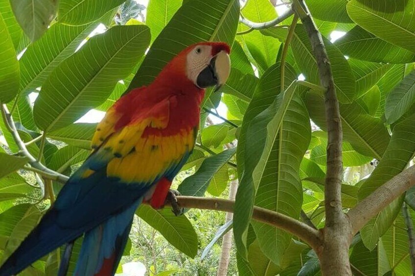 Manawakie Park, Sightseeing Island Tour & Beach