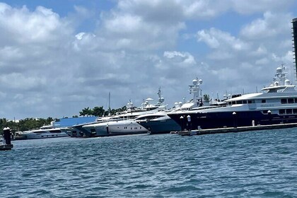 Sightseeing Cruise - Private 6 hour