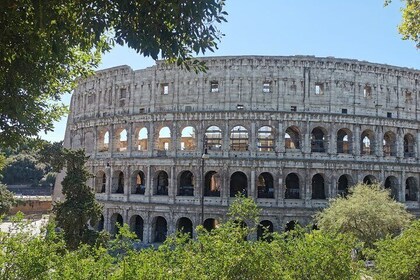Colosseum-Express-Skip-The-Line-Guided Tour With Roman Forum and Palatine H...