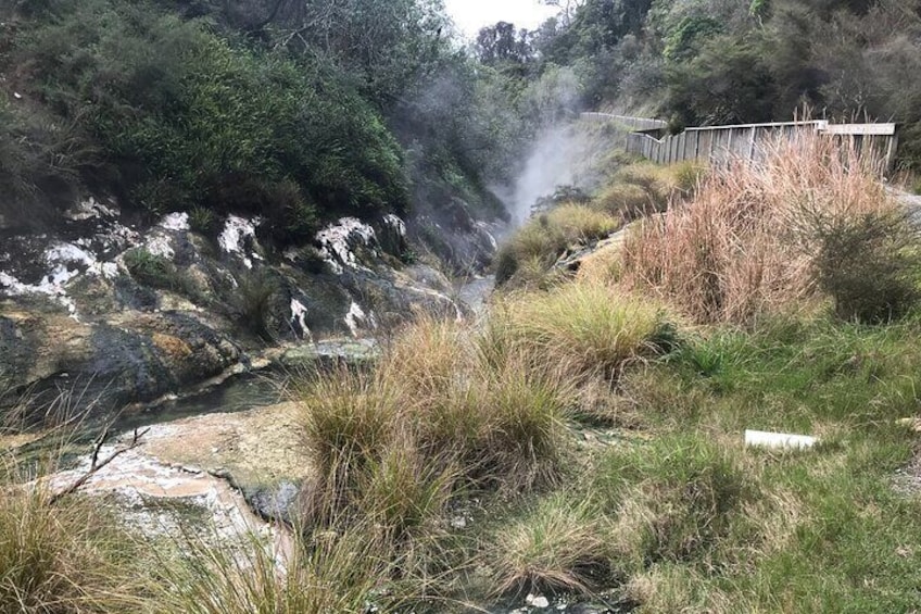 Waimangu Valley