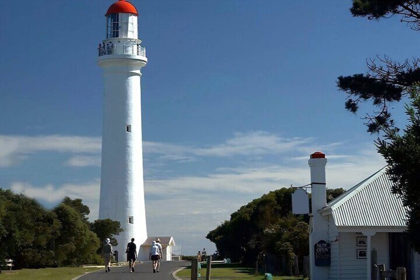 Reimagined Great Ocean Road 1-Day Tour from Melbourne