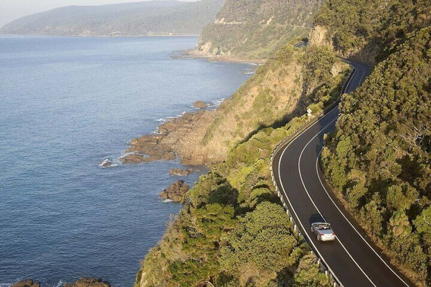 Great Ocean Road (12 Apostles, Loch Ard Gorge, Gibson Steps) 1-Day Tour