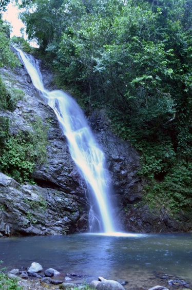 TROPICAL RAINFOREST WATERFALL DAY-TRIP 