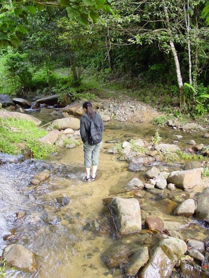 TROPICAL RAINFOREST WATERFALL DAY-TRIP 