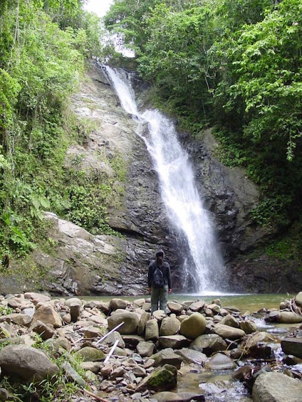 TROPICAL RAINFOREST WATERFALL DAY-TRIP