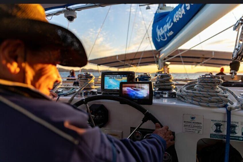 Port Stephens 3 Hour Whale and Dolphin Watch Cruise
