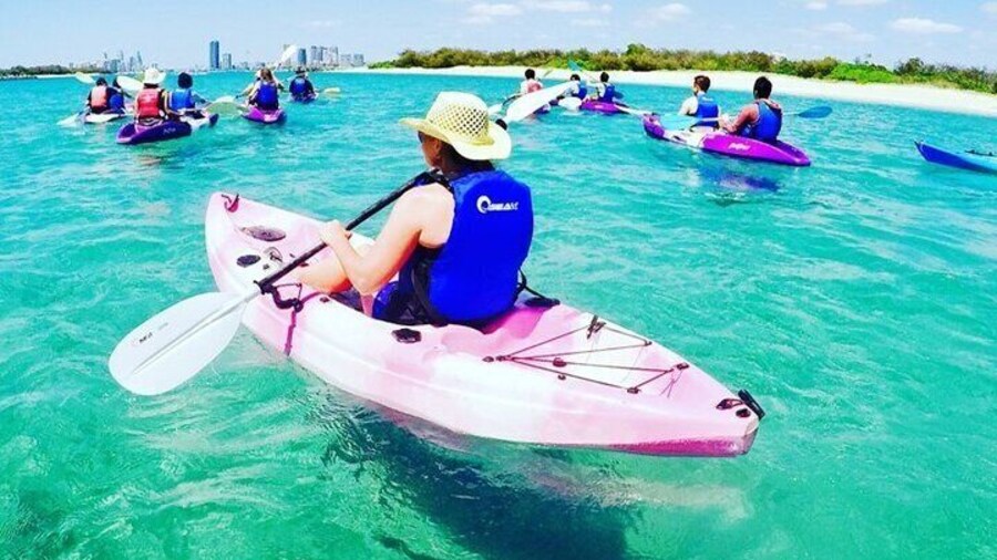 2 Hours Dolphin Kayaking & Snorkeling Tour on the Broadwater
