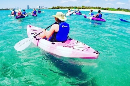 2 Hours Dolphin Kayaking & Snorkelling Tour on the Broadwater