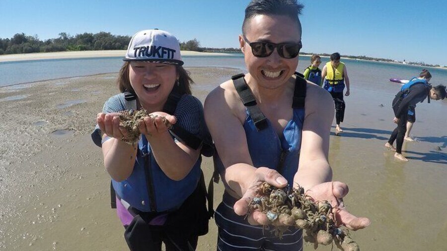 2 Hours Dolphin Kayaking & Snorkeling Tour on the Broadwater