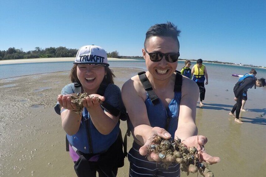 2 Hours Dolphin Kayaking & Snorkeling Tour on the Broadwater