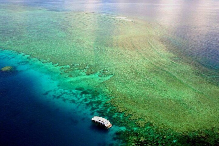 Premium Guided Dive Trip - Outer Great Barrier Reef