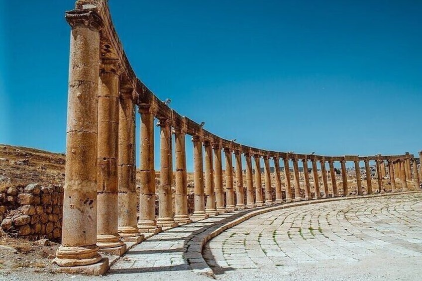 Jerash Half-Day Private Tour from Amman with Lunch