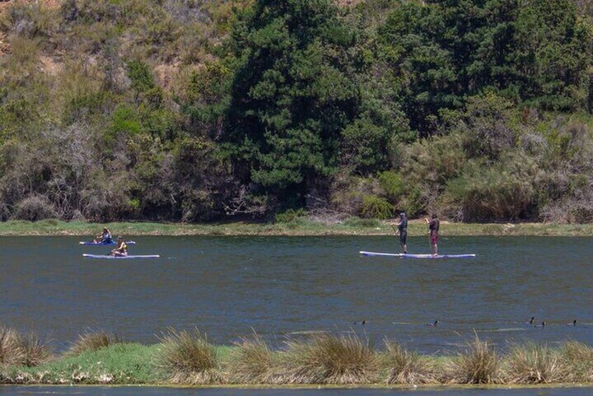 Stand up paddle tours