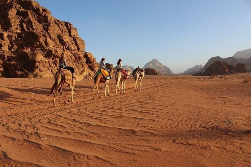 Wadi Rum Full-Day Private Tour from Airport