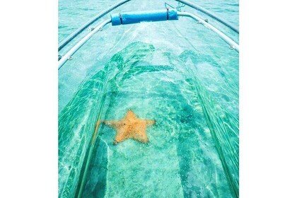 Clear Kayak Tour at Sint Maarten