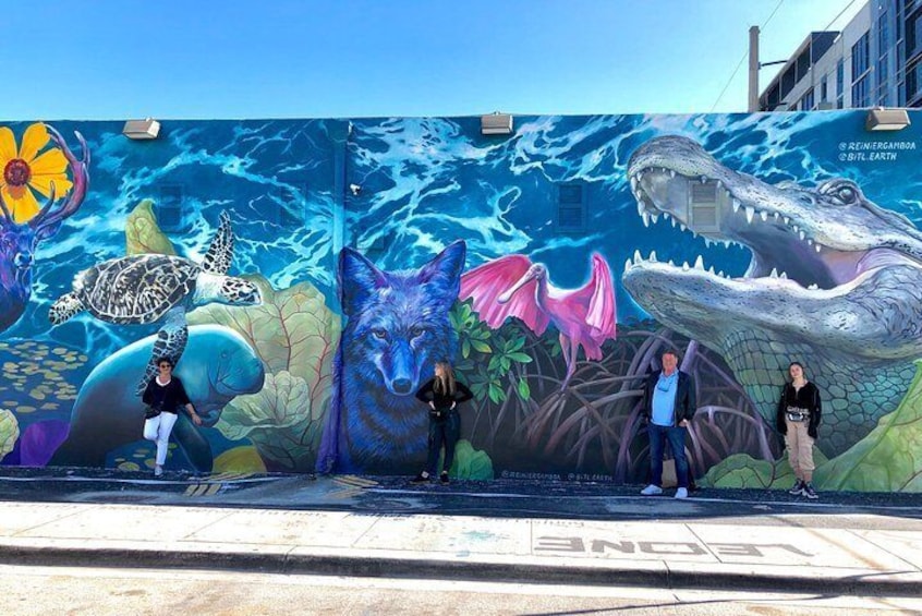 French Street Art Tour in Wynwood, Miami