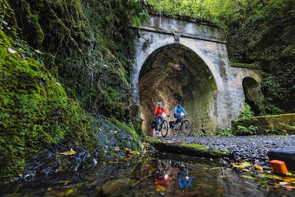 Remutaka Rail Trail Mountain Bike Explorer