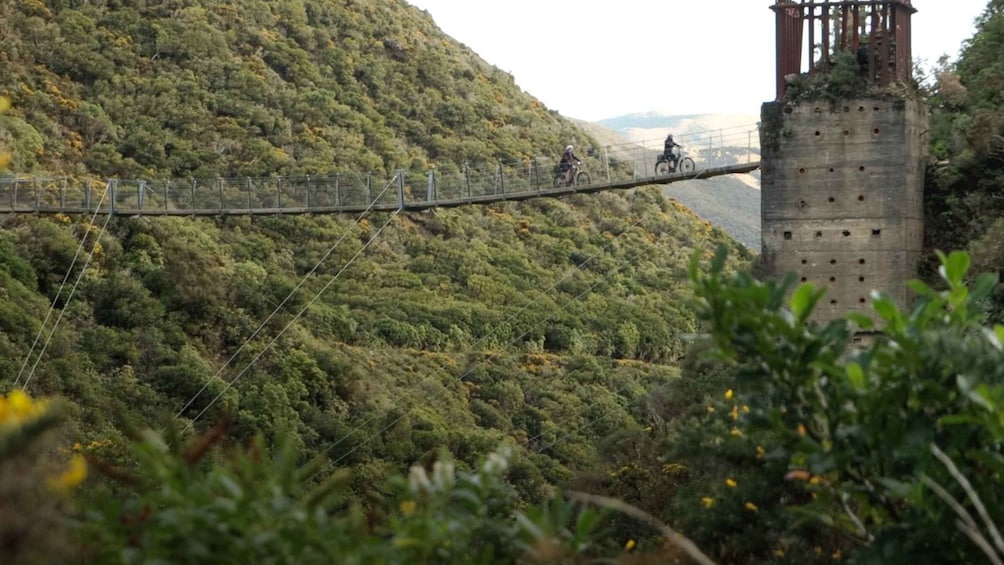 Picture 3 for Activity Remutaka Rail Trail Mountain Bike Explorer