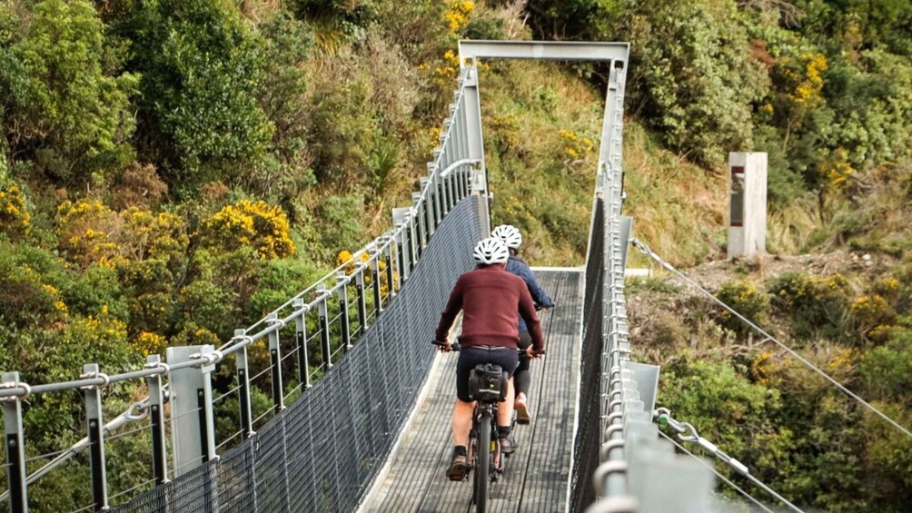 Picture 5 for Activity Remutaka Rail Trail Mountain Bike Explorer