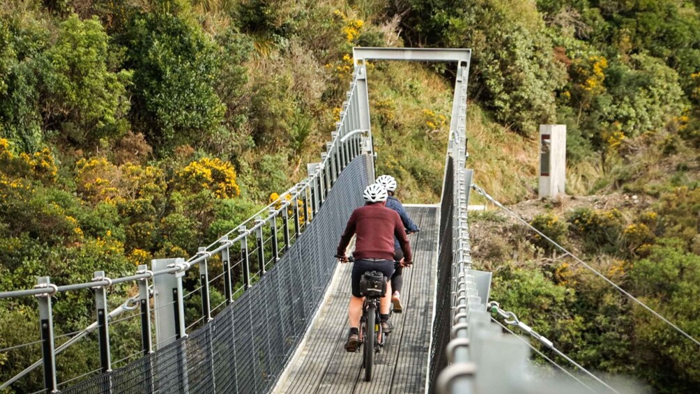 Picture 5 for Activity Remutaka Rail Trail Mountain Bike Explorer