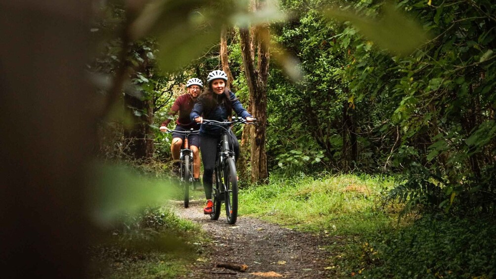 Picture 1 for Activity Remutaka Rail Trail Mountain Bike Explorer