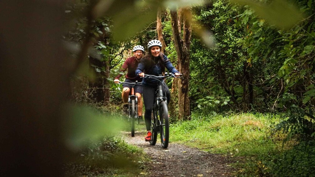 Picture 1 for Activity Remutaka Rail Trail Mountain Bike Explorer