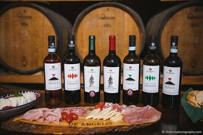 2-hour tasting of 5 wines in Sorrento